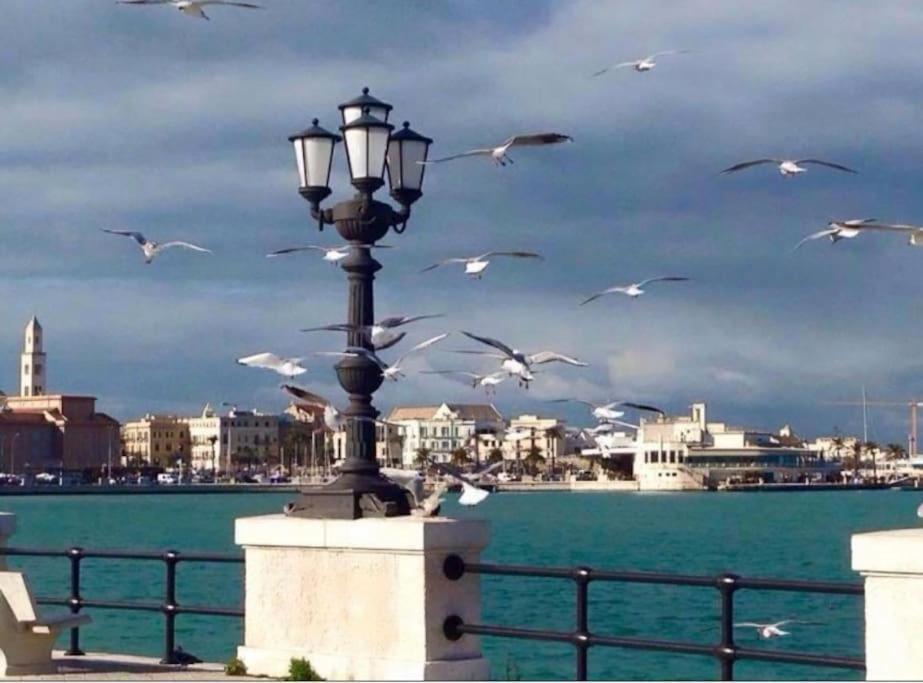Apartment Studio Affaccio Sul Redentore Di Bari